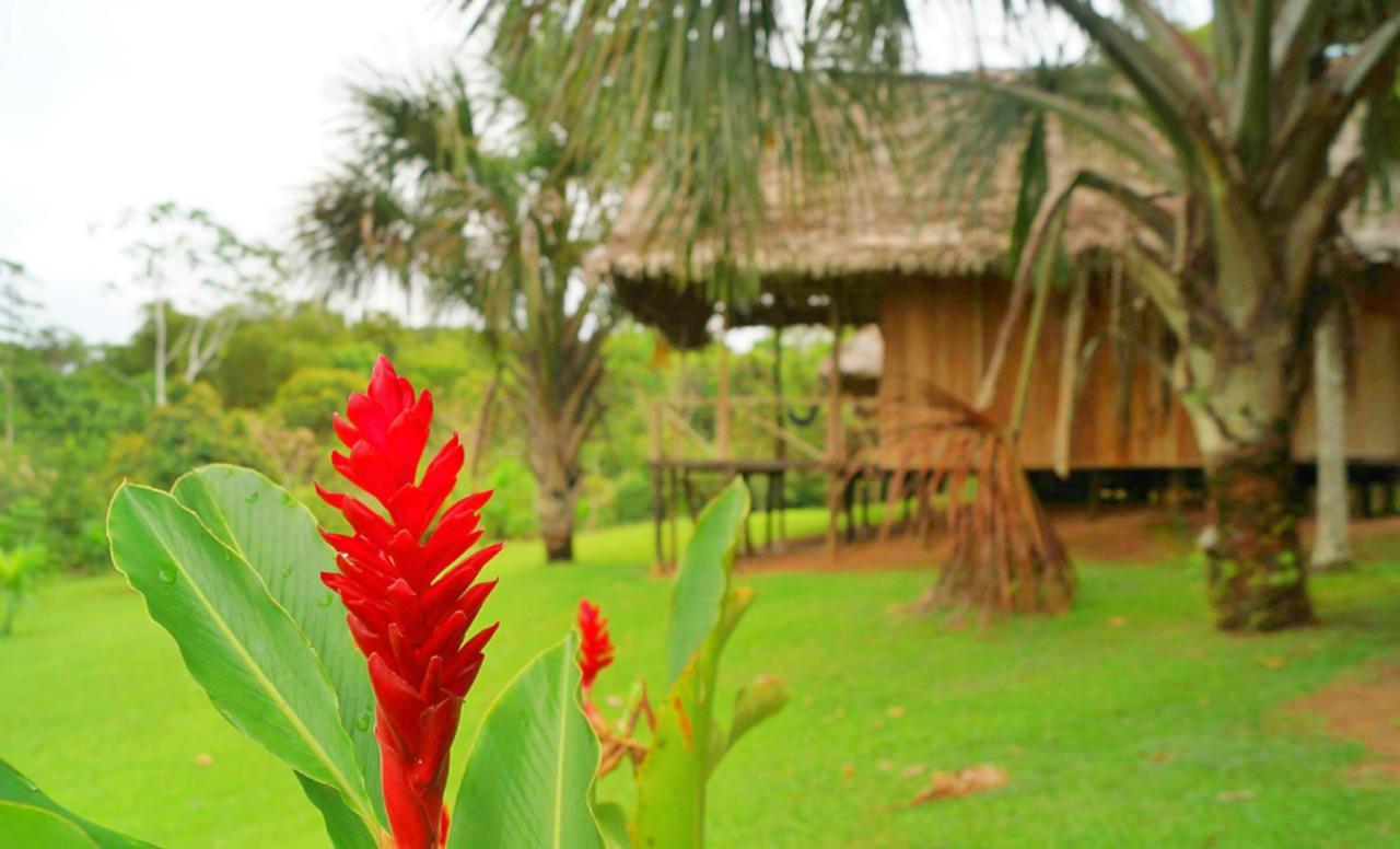 Pacaya Samiria Amazon Lodge Nauta 外观 照片